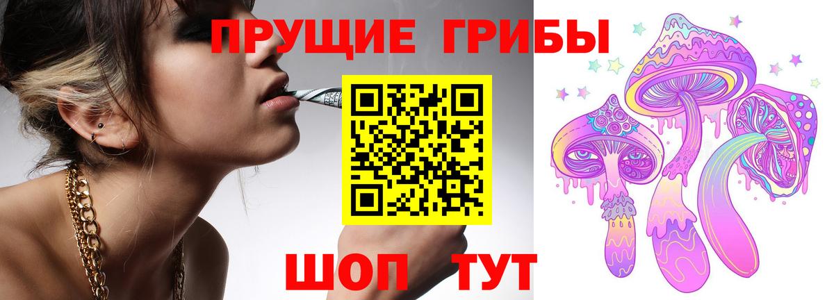 Галлюциногенные грибы Cubensis Асино